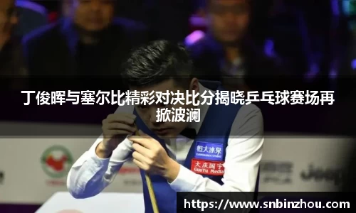 丁俊晖与塞尔比精彩对决比分揭晓乒乓球赛场再掀波澜